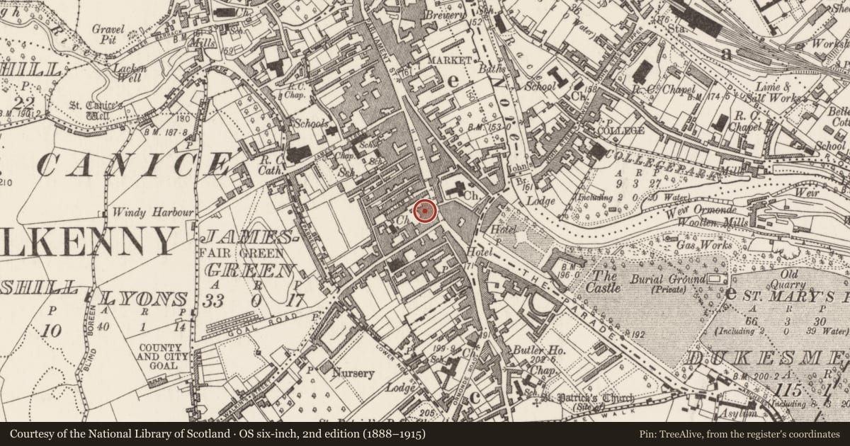 Ordnance Survey six-inch map, 2nd edition (1888–1915) covering the location of Inn, Gardens (Kilkenny City By., St. Mary’s Par.), County Kilkenny, with a pin at the register's coordinates