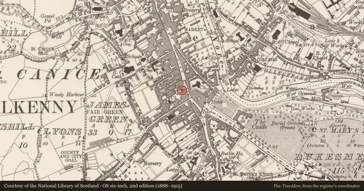 Ordnance Survey six-inch map, 2nd edition (1888–1915) covering the location of House - 16th/17th century, Gardens (Kilkenny City By., St. Mary’s Par.), County Kilkenny, with a pin at the register's coordinates