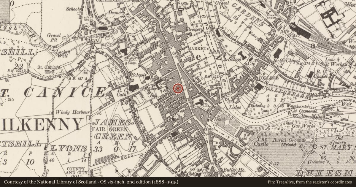 Ordnance Survey six-inch map, 2nd edition (1888–1915) covering the location of Building, Gardens (Kilkenny City By., St. Mary’s Par.), County Kilkenny, with a pin at the register's coordinates