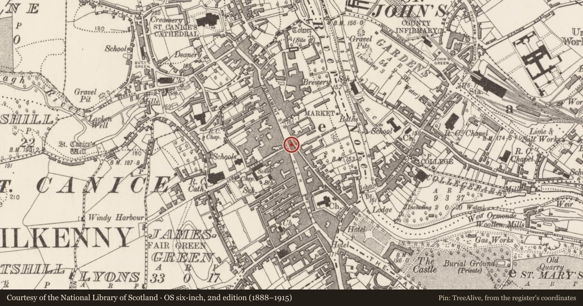 Ordnance Survey six-inch map, 2nd edition (1888–1915) covering the location of Shambles, Gardens (Kilkenny City By., St. Mary’s Par.), County Kilkenny, with a pin at the register's coordinates