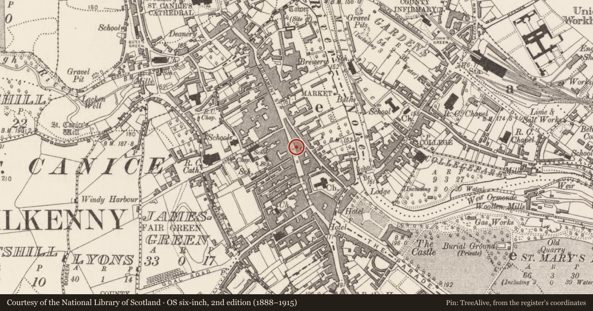 Ordnance Survey six-inch map, 2nd edition (1888–1915) covering the location of House - 16th/17th century, Gardens (Kilkenny City By., St. Mary’s Par.), County Kilkenny, with a pin at the register's coordinates
