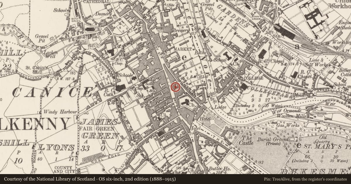Ordnance Survey six-inch map, 2nd edition (1888–1915) covering the location of Architectural fragment, Gardens (Kilkenny City By., St. Mary’s Par.), County Kilkenny, with a pin at the register's coordinates