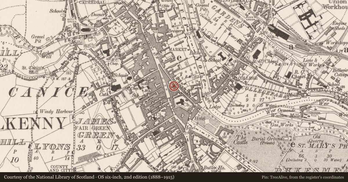 Ordnance Survey six-inch map, 2nd edition (1888–1915) covering the location of House - 16th/17th century, Gardens (Kilkenny City By., St. Mary’s Par.), County Kilkenny, with a pin at the register's coordinates