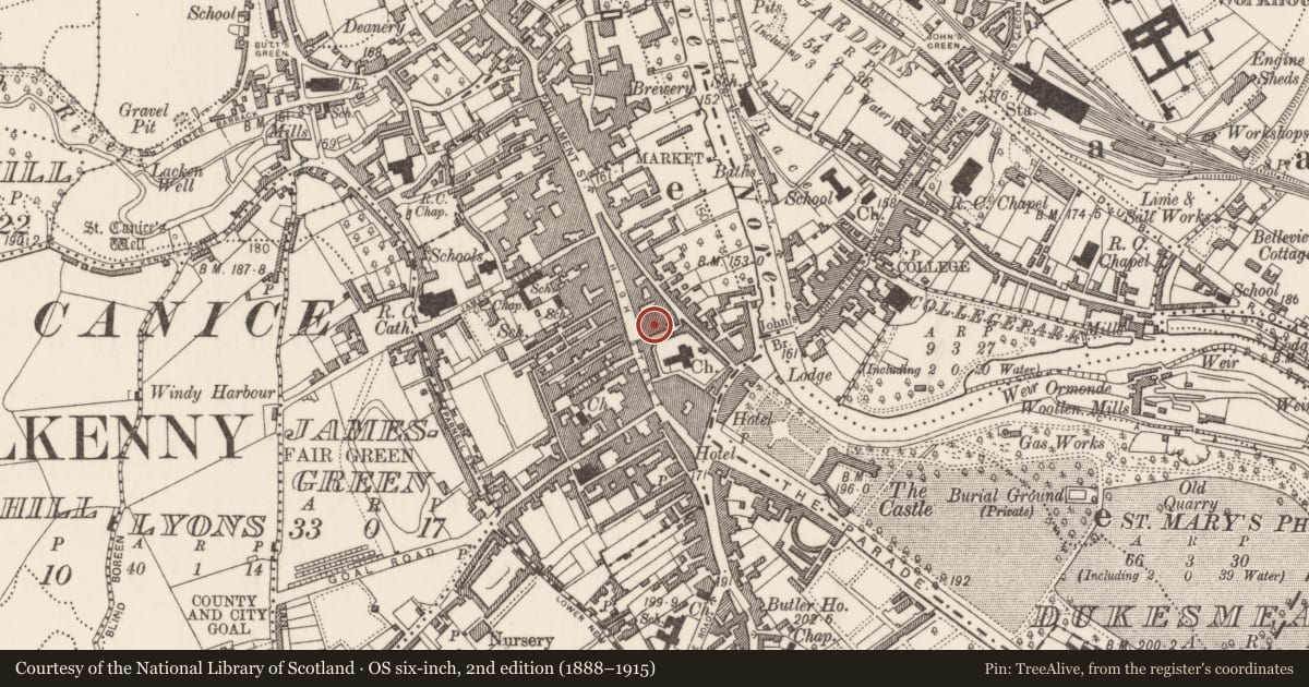 Ordnance Survey six-inch map, 2nd edition (1888–1915) covering the location of House - 17th century, Gardens (Kilkenny City By., St. Mary’s Par.), County Kilkenny, with a pin at the register's coordinates