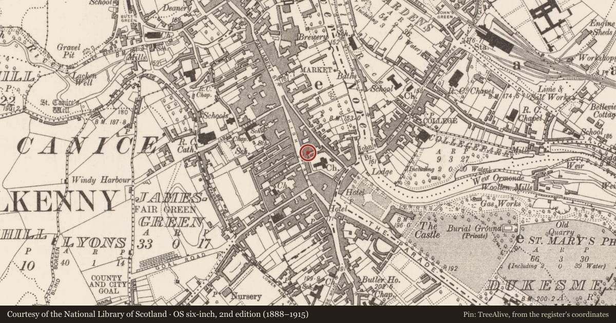 Ordnance Survey six-inch map, 2nd edition (1888–1915) covering the location of House - 16th/17th century, Gardens (Kilkenny City By., St. Mary’s Par.), County Kilkenny, with a pin at the register's coordinates
