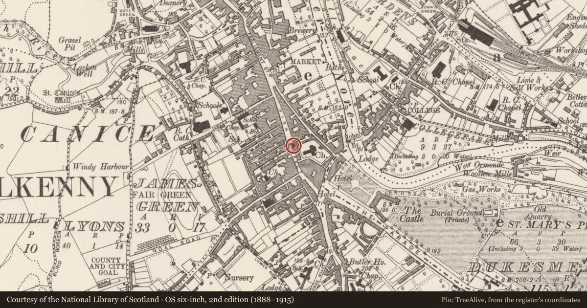 Ordnance Survey six-inch map, 2nd edition (1888–1915) covering the location of Town hall, Gardens (Kilkenny City By., St. Mary’s Par.), County Kilkenny, with a pin at the register's coordinates