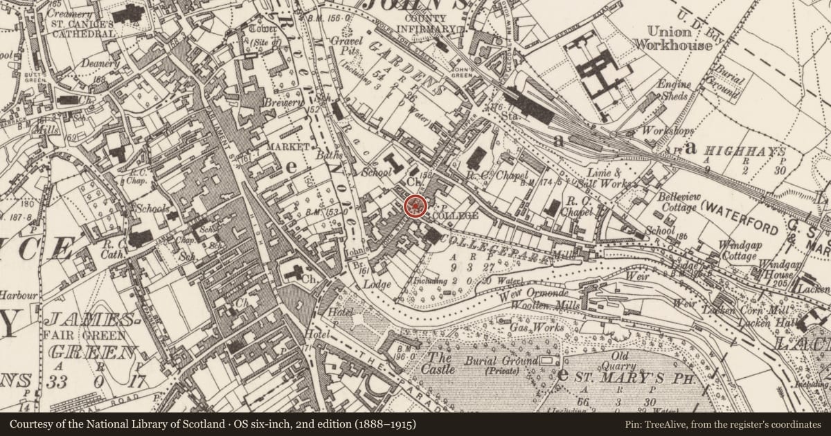 Ordnance Survey six-inch map, 2nd edition (1888–1915) covering the location of Bridge, Gardens (Kilkenny City By., St. John's Par.), County Kilkenny, with a pin at the register's coordinates