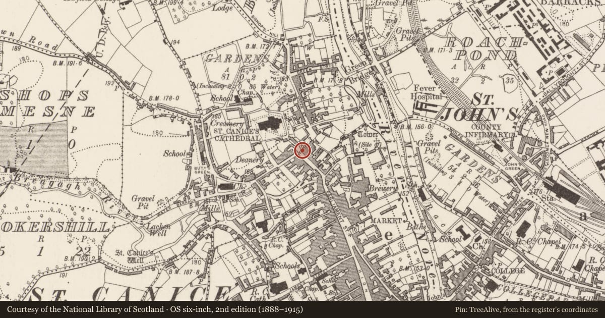 Ordnance Survey six-inch map, 2nd edition (1888–1915) covering the location of House - 16th/17th century, Gardens (Kilkenny City By., St. Canice Par.), County Kilkenny, with a pin at the register's coordinates