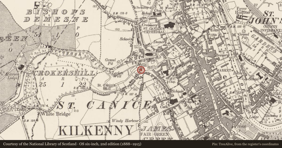 Ordnance Survey six-inch map, 2nd edition (1888–1915) covering the location of Water mill - vertical-wheeled, Gardens (Kilkenny City By., St. Canice Par.), County Kilkenny, with a pin at the register's coordinates