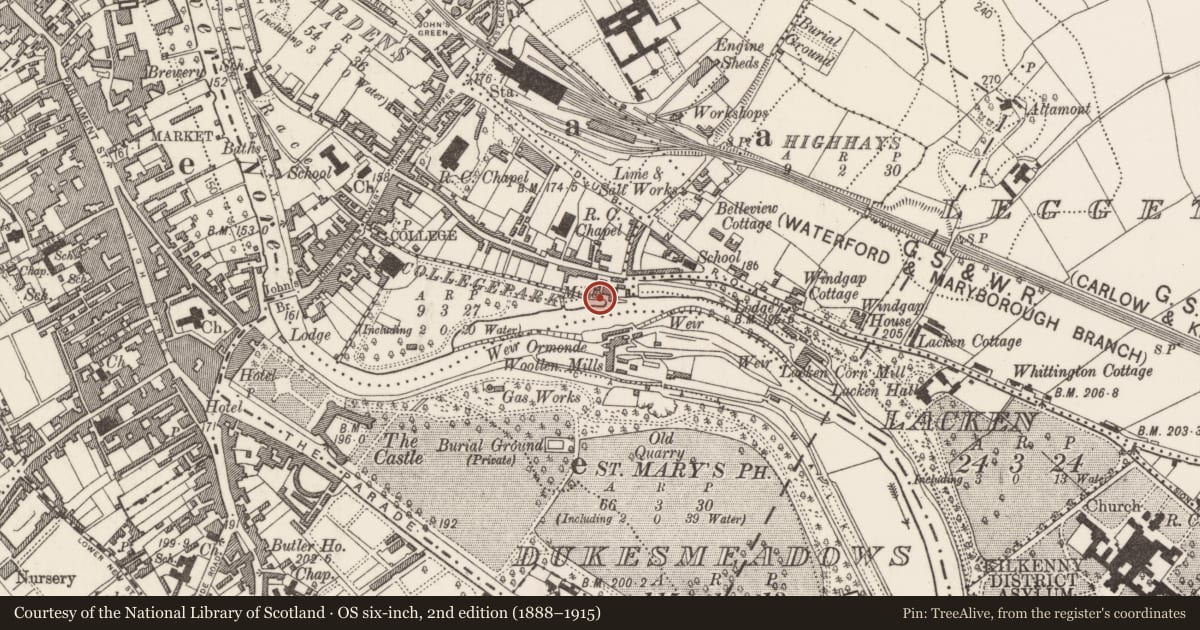 Ordnance Survey six-inch map, 2nd edition (1888–1915) covering the location of Water mill - unclassified, County Kilkenny, with a pin at the register's coordinates