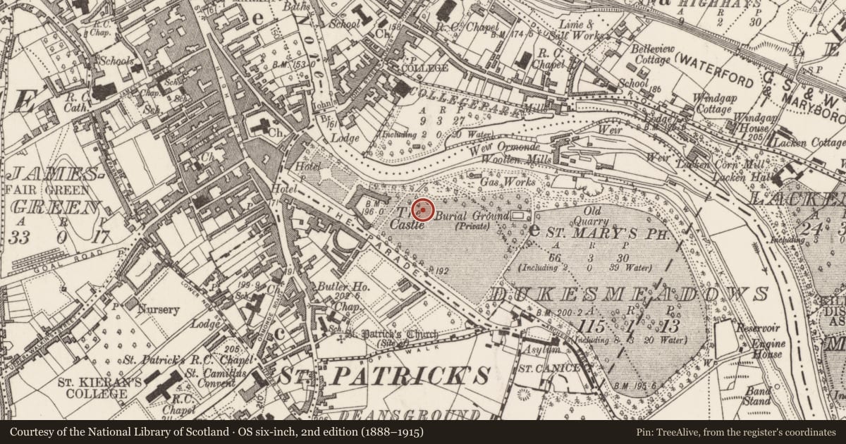 Ordnance Survey six-inch map, 2nd edition (1888–1915) covering the location of Bowling green, Dukesmeadows (Shillelogher By., St. Patrick's Par.), County Kilkenny, with a pin at the register's coordinates
