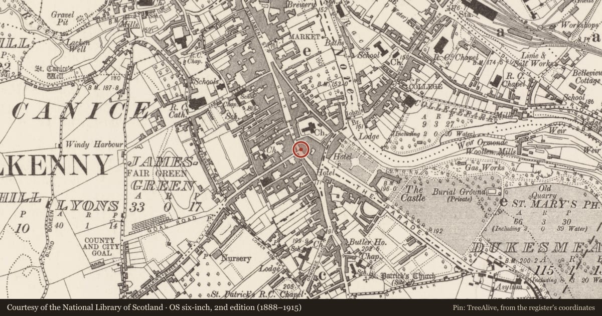 Ordnance Survey six-inch map, 2nd edition (1888–1915) covering the location of Armorial plaque, Gardens (Kilkenny City By., St. Mary’s Par.), County Kilkenny, with a pin at the register's coordinates