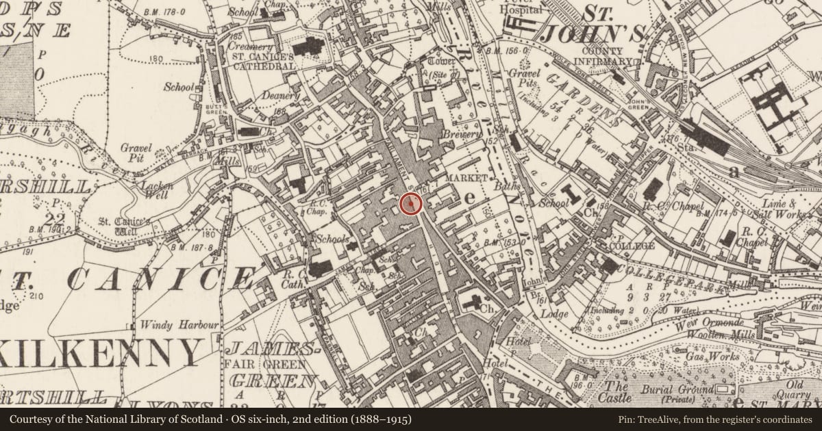 Ordnance Survey six-inch map, 2nd edition (1888–1915) covering the location of House - 16th/17th century, Gardens (Kilkenny City By., St. Mary’s Par.), County Kilkenny, with a pin at the register's coordinates