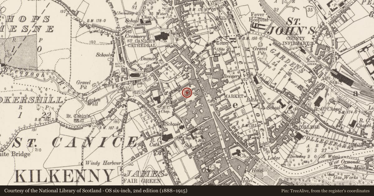 Ordnance Survey six-inch map, 2nd edition (1888–1915) covering the location of House - 16th/17th century, Gardens (Kilkenny City By., St. Mary’s Par.), County Kilkenny, with a pin at the register's coordinates