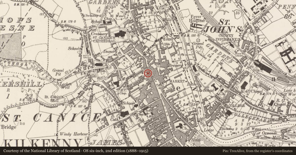 Ordnance Survey six-inch map, 2nd edition (1888–1915) covering the location of House - 16th/17th century, Gardens (Kilkenny City By., St. Mary’s Par.), County Kilkenny, with a pin at the register's coordinates