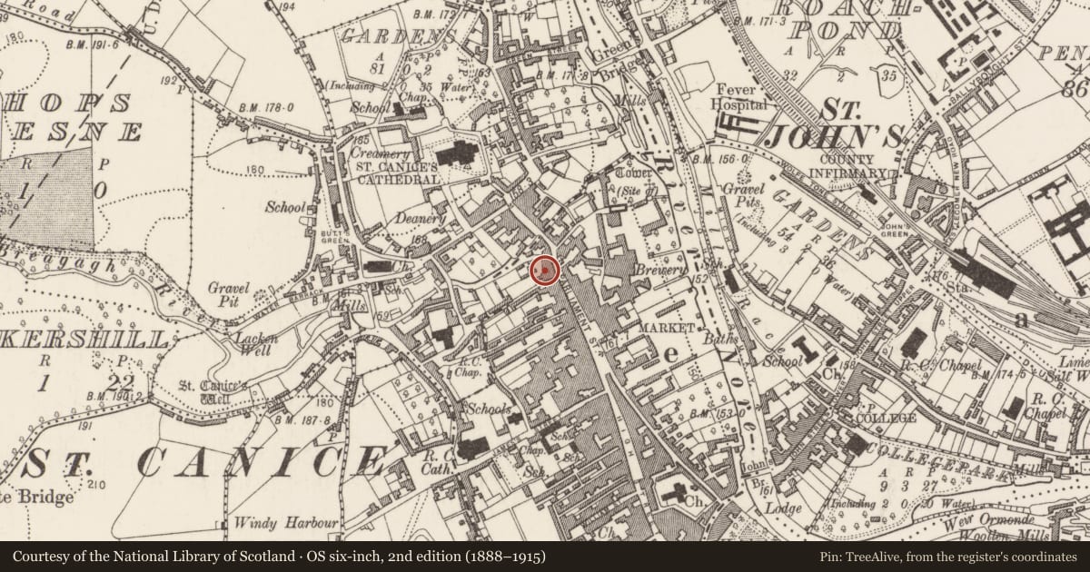 Ordnance Survey six-inch map, 2nd edition (1888–1915) covering the location of Graveslab, Gardens (Kilkenny City By., St. Mary’s Par.), County Kilkenny, with a pin at the register's coordinates
