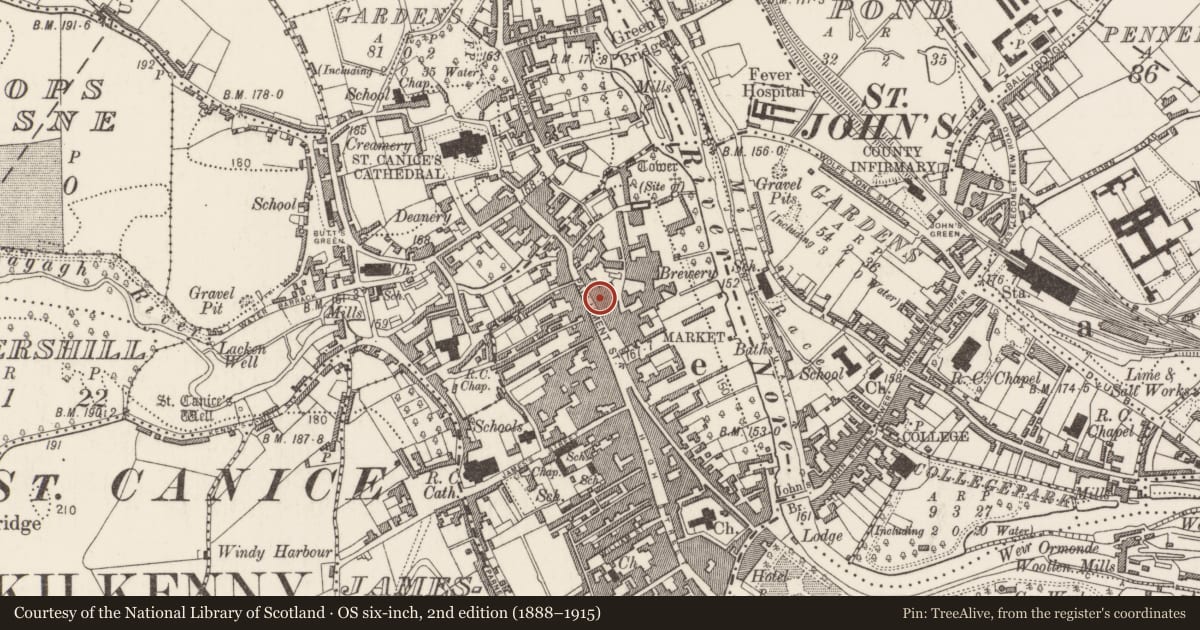 Ordnance Survey six-inch map, 2nd edition (1888–1915) covering the location of House - 16th/17th century, Gardens (Kilkenny City By., St. Mary’s Par.), County Kilkenny, with a pin at the register's coordinates