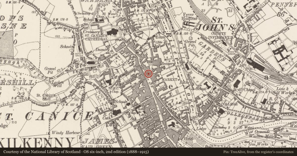 Ordnance Survey six-inch map, 2nd edition (1888–1915) covering the location of House - 16th/17th century, Gardens (Kilkenny City By., St. Mary’s Par.), County Kilkenny, with a pin at the register's coordinates