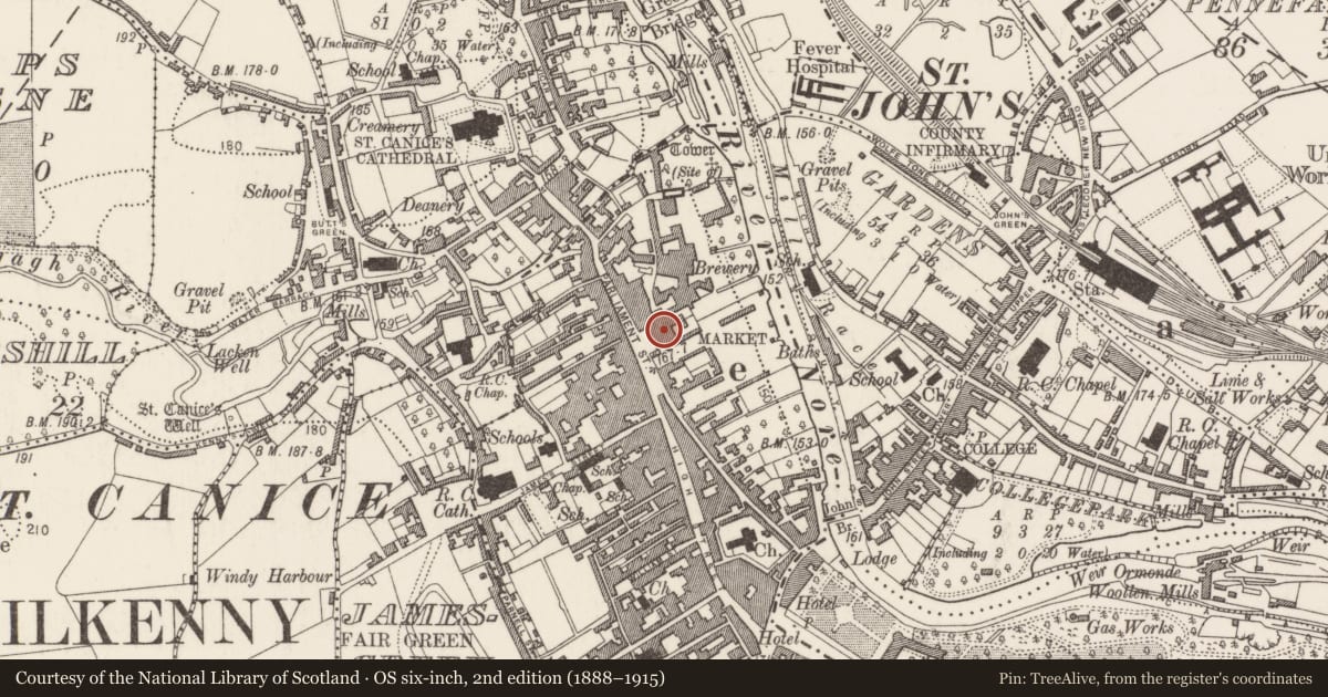 Ordnance Survey six-inch map, 2nd edition (1888–1915) covering the location of Castle - unclassified, Gardens (Kilkenny City By., St. Mary’s Par.), County Kilkenny, with a pin at the register's coordinates