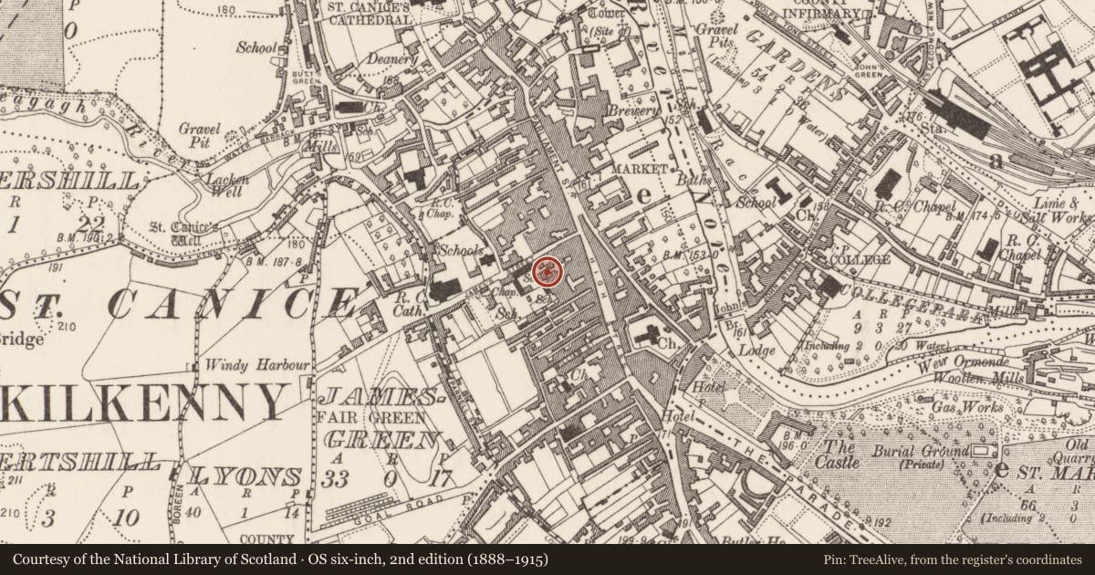 Ordnance Survey six-inch map, 2nd edition (1888–1915) covering the location of Well, Gardens (Kilkenny City By., St. Mary’s Par.), County Kilkenny, with a pin at the register's coordinates