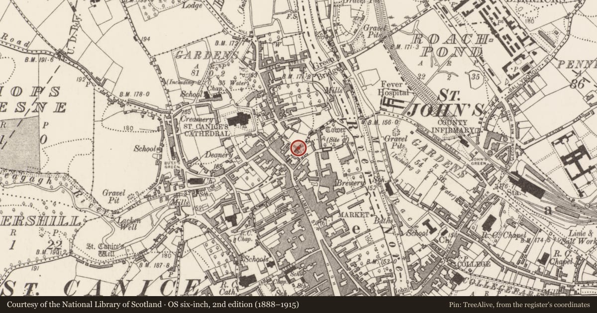 Ordnance Survey six-inch map, 2nd edition (1888–1915) covering the location of Bridge, County Kilkenny, with a pin at the register's coordinates