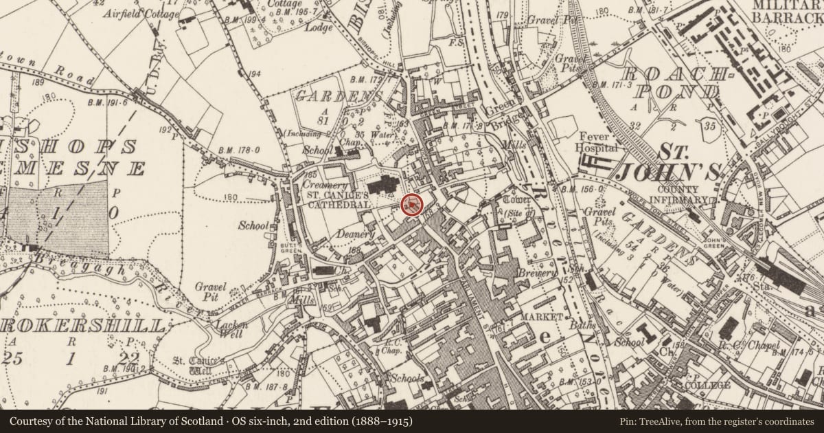 Ordnance Survey six-inch map, 2nd edition (1888–1915) covering the location of House - 16th/17th century, Gardens (Kilkenny City By., St. Canice Par.), County Kilkenny, with a pin at the register's coordinates