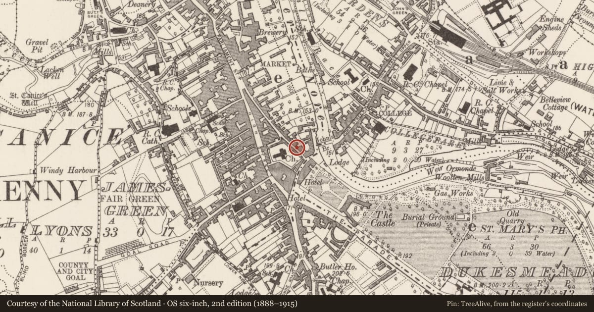 Ordnance Survey six-inch map, 2nd edition (1888–1915) covering the location of Ritual site - holy well, Gardens (Kilkenny City By., St. Mary’s Par.), County Kilkenny, with a pin at the register's coordinates
