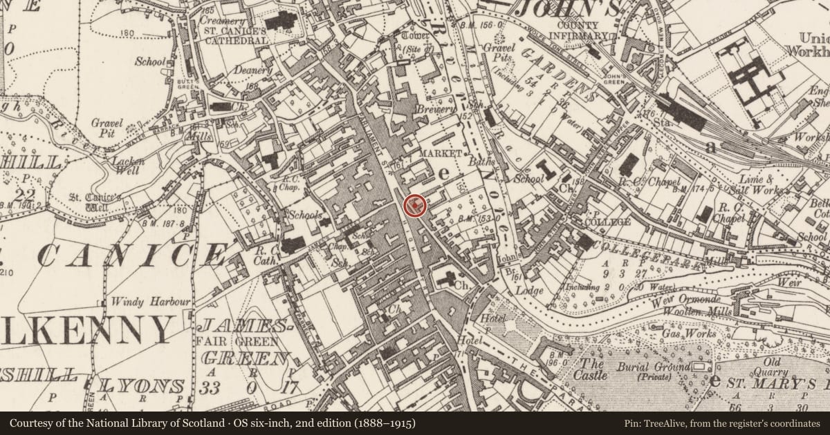 Ordnance Survey six-inch map, 2nd edition (1888–1915) covering the location of Inn, Gardens (Kilkenny City By., St. Mary’s Par.), County Kilkenny, with a pin at the register's coordinates