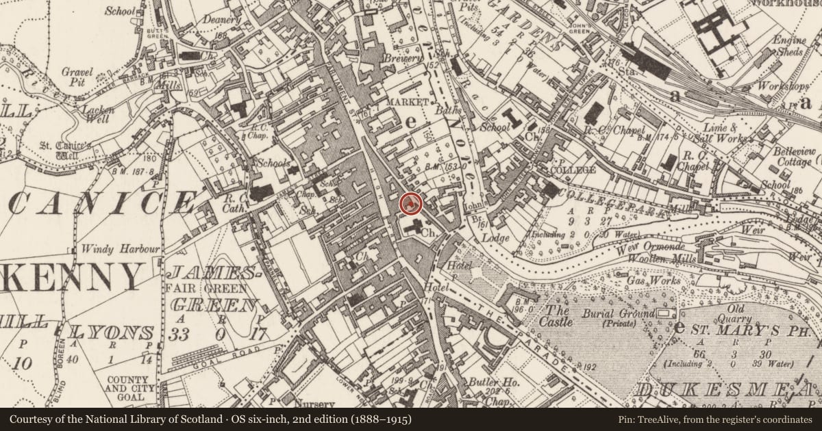Ordnance Survey six-inch map, 2nd edition (1888–1915) covering the location of House - 16th/17th century, Gardens (Kilkenny City By., St. Mary’s Par.), County Kilkenny, with a pin at the register's coordinates