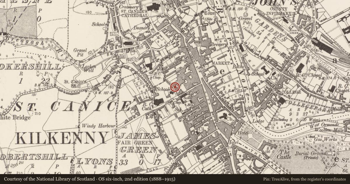 Ordnance Survey six-inch map, 2nd edition (1888–1915) covering the location of Brewery, Gardens (Kilkenny City By., St. Mary’s Par.), County Kilkenny, with a pin at the register's coordinates