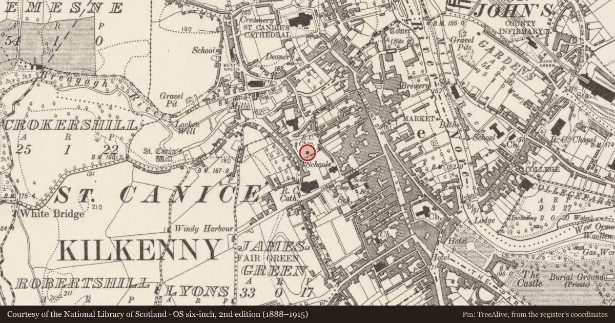 Ordnance Survey six-inch map, 2nd edition (1888–1915) covering the location of Stone sculpture (present location), Gardens (Kilkenny City By., St. Canice Par.), County Kilkenny, with a pin at the register's coordinates