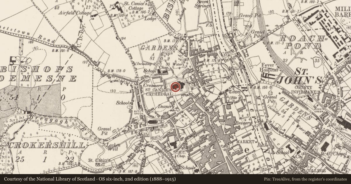 Ordnance Survey six-inch map, 2nd edition (1888–1915) covering the location of Font, Gardens (Kilkenny City By., St. Canice Par.), County Kilkenny, with a pin at the register's coordinates
