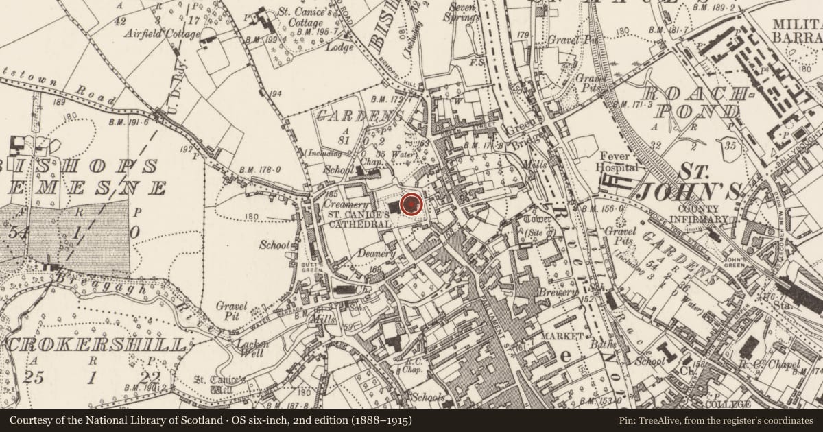 Ordnance Survey six-inch map, 2nd edition (1888–1915) covering the location of Font, Gardens (Kilkenny City By., St. Canice Par.), County Kilkenny, with a pin at the register's coordinates