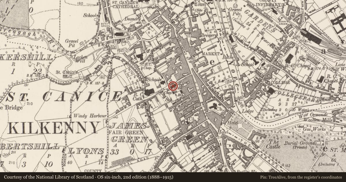 Ordnance Survey six-inch map, 2nd edition (1888–1915) covering the location of Excavation - miscellaneous, Gardens (Kilkenny City By., St. Mary’s Par.), County Kilkenny, with a pin at the register's coordinates