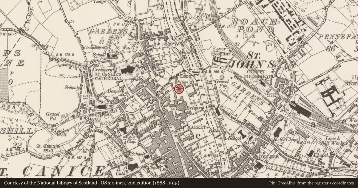 Ordnance Survey six-inch map, 2nd edition (1888–1915) covering the location of Font, Gardens (Kilkenny City By., St. Mary’s Par.), County Kilkenny, with a pin at the register's coordinates