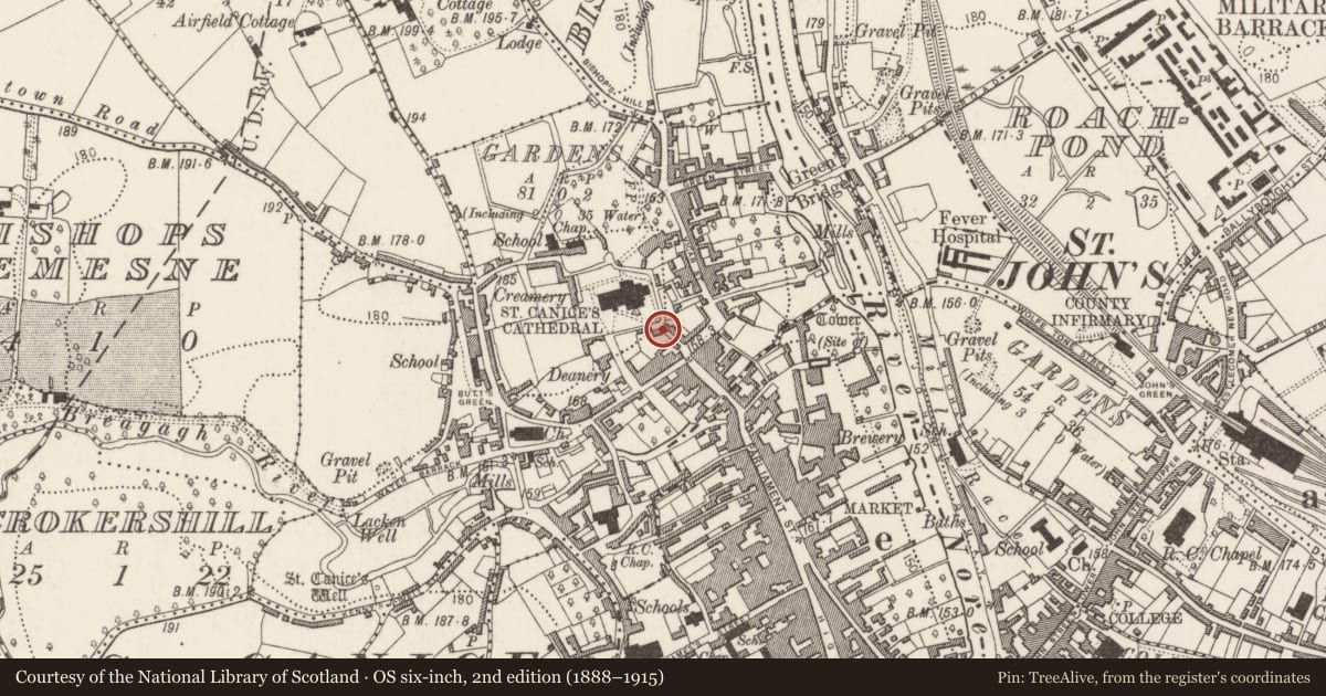 Ordnance Survey six-inch map, 2nd edition (1888–1915) covering the location of Armorial plaque (present location), Gardens (Kilkenny City By., St. Canice Par.), County Kilkenny, with a pin at the register's coordinates