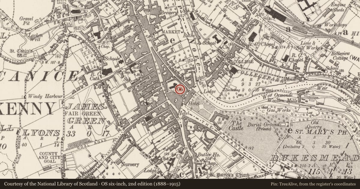Ordnance Survey six-inch map, 2nd edition (1888–1915) covering the location of Graveyard, Gardens (Kilkenny City By., St. Mary’s Par.), County Kilkenny, with a pin at the register's coordinates