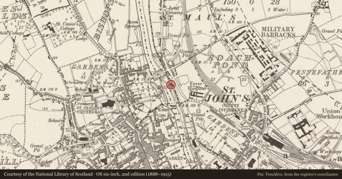 Ordnance Survey six-inch map, 2nd edition (1888–1915) covering the location of Water mill - unclassified, Friarsinch, Newpark Lower, County Kilkenny, with a pin at the register's coordinates