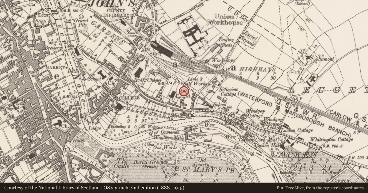 Ordnance Survey six-inch map, 2nd edition (1888–1915) covering the location of Graveslab, Gardens (Kilkenny City By., St. John's Par.), County Kilkenny, with a pin at the register's coordinates