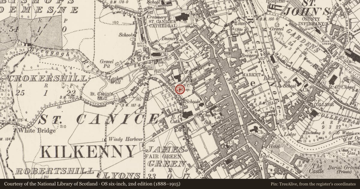 Ordnance Survey six-inch map, 2nd edition (1888–1915) covering the location of Burial, Gardens (Kilkenny City By., St. Canice Par.), County Kilkenny, with a pin at the register's coordinates