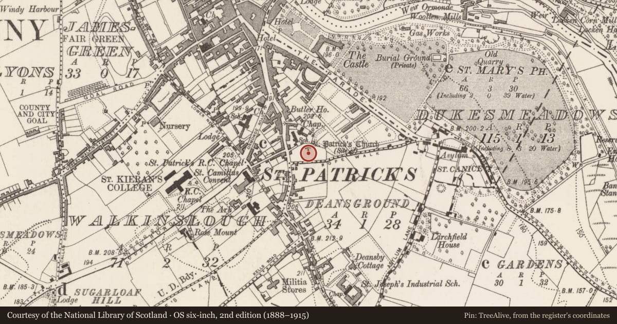Ordnance Survey six-inch map, 2nd edition (1888–1915) covering the location of Graveyard, County Kilkenny, with a pin at the register's coordinates
