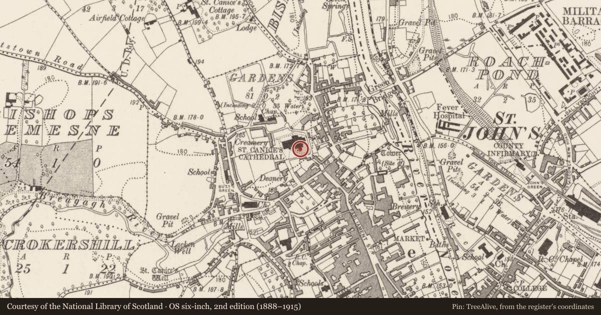Ordnance Survey six-inch map, 2nd edition (1888–1915) covering the location of Round tower, Gardens (Kilkenny City By., St. Canice Par.), County Kilkenny, with a pin at the register's coordinates
