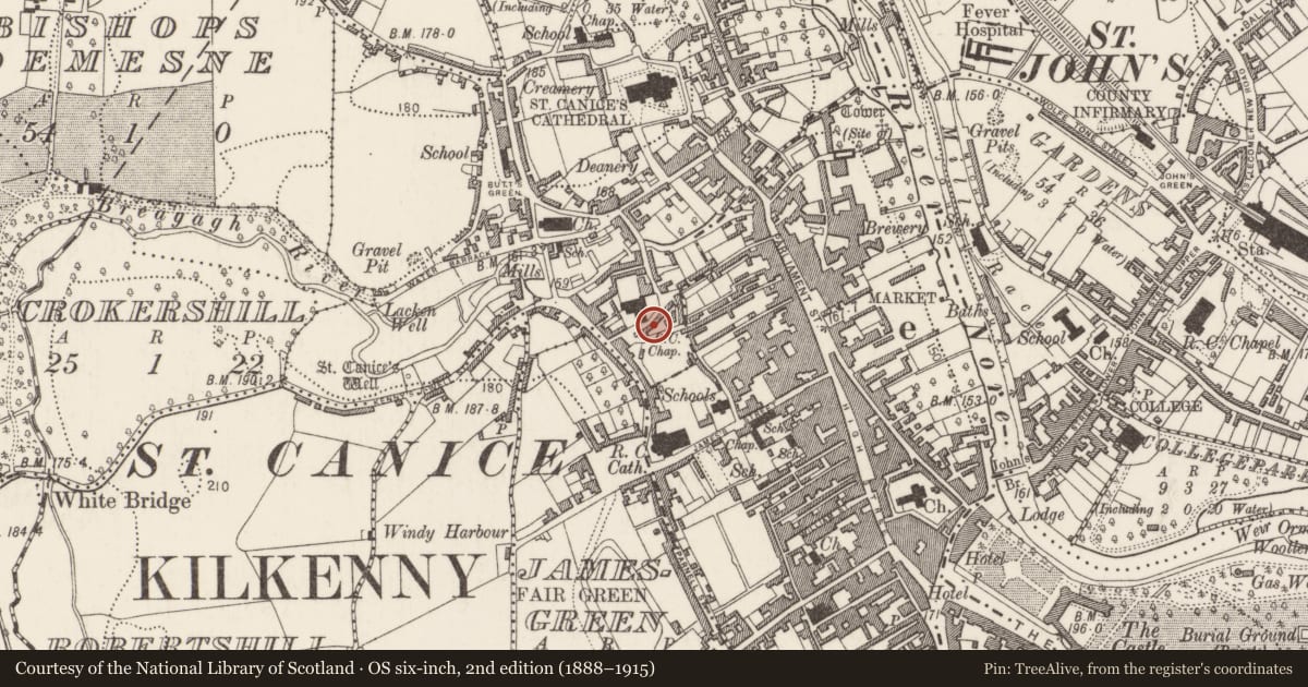 Ordnance Survey six-inch map, 2nd edition (1888–1915) covering the location of Graveyard, Gardens (Kilkenny City By., St. Canice Par.), County Kilkenny, with a pin at the register's coordinates