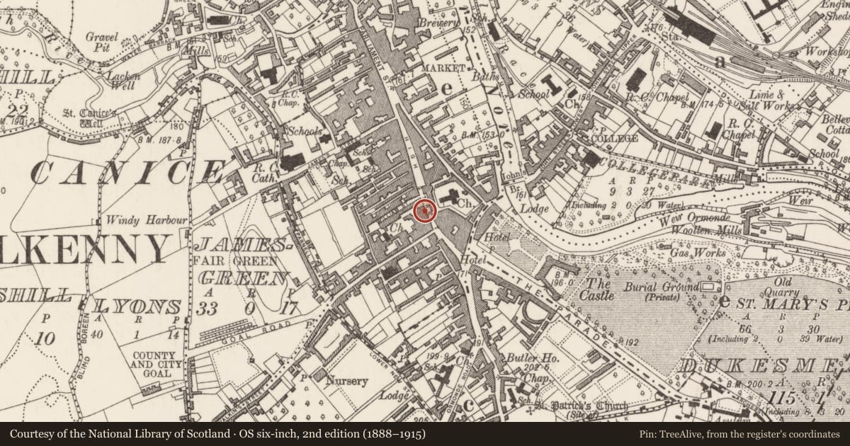 Ordnance Survey six-inch map, 2nd edition (1888–1915) covering the location of Armorial plaque, Gardens (Kilkenny City By., St. Mary’s Par.), County Kilkenny, with a pin at the register's coordinates