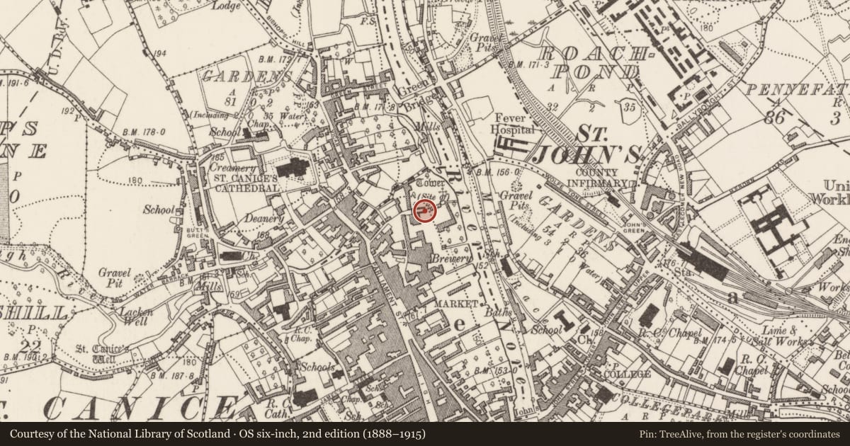 Ordnance Survey six-inch map, 2nd edition (1888–1915) covering the location of Wall monument, Gardens (Kilkenny City By., St. Mary’s Par.), County Kilkenny, with a pin at the register's coordinates