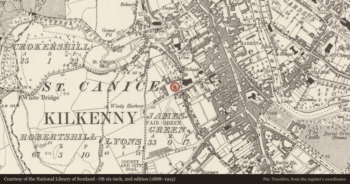 Ordnance Survey six-inch map, 2nd edition (1888–1915) covering the location of Burial ground, Jamesgreen, County Kilkenny, with a pin at the register's coordinates