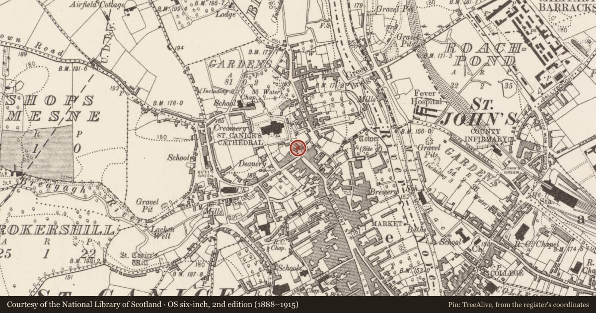 Ordnance Survey six-inch map, 2nd edition (1888–1915) covering the location of Memorial stone (present location), Gardens (Kilkenny City By., St. Canice Par.), County Kilkenny, with a pin at the register's coordinates