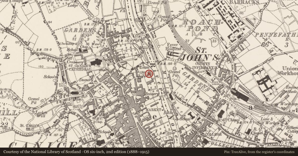 Ordnance Survey six-inch map, 2nd edition (1888–1915) covering the location of Ritual site - holy well, Gardens (Kilkenny City By., St. Mary’s Par.), County Kilkenny, with a pin at the register's coordinates