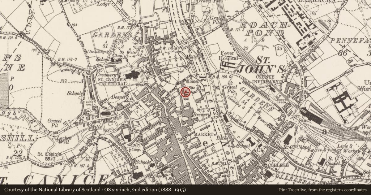 Ordnance Survey six-inch map, 2nd edition (1888–1915) covering the location of Graveslab, Gardens (Kilkenny City By., St. Mary’s Par.), County Kilkenny, with a pin at the register's coordinates