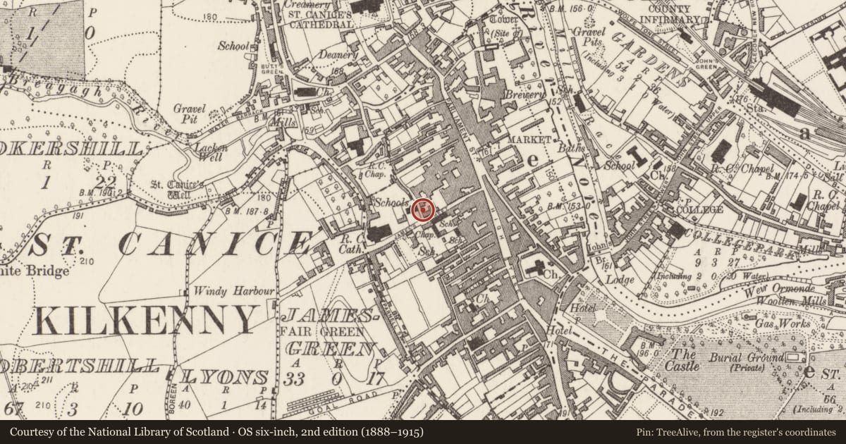 Ordnance Survey six-inch map, 2nd edition (1888–1915) covering the location of Excavation - miscellaneous, Gardens (Kilkenny City By., St. Mary’s Par.), County Kilkenny, with a pin at the register's coordinates